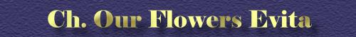 Mopshndin Our Flowers Evita aus der Mopszucht Pachiva